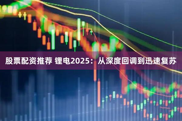 股票配资推荐 锂电2025：从深度回调到迅速复苏